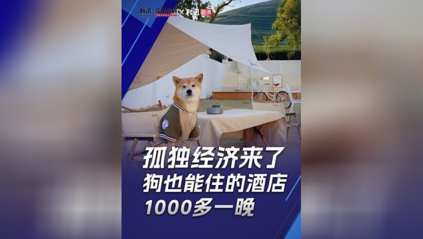 香港澳门今晚开奖结果详情查询网,appleu,决策资料解释落实_标清版V11.13