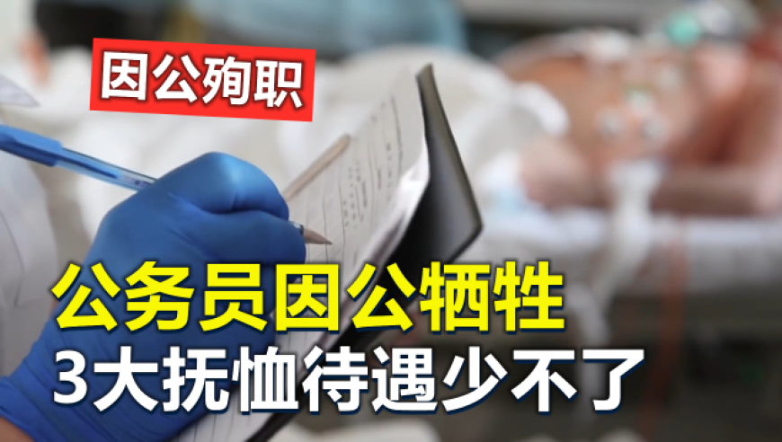 李钟硕新剧又拿了律师剧本,管家婆精准资料一肖,详细释义解释落实_尊享版V7.38